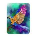 Search for parrot magnets Exotic