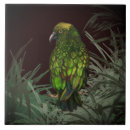 Search for new zealand tiles Kea