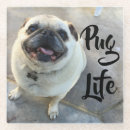 Search for adorable barware Pug