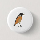 Search for wild birds badges Songbird