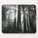 Search for sunlight mouse mats California