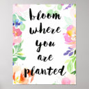 Search for bloom where you are planted posters Floral