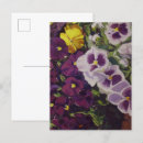 Search for pants postcards Colourful