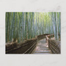 Search for bamboo postcards Travel