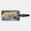 Search for fat travel accessories Cute