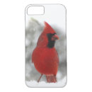Search for cardinal bird iphone cases Birds