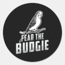 Search for budgerigar stickers Pet