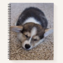 Search for corgi notebooks Puppy