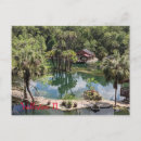 Search for cedars postcards Outdoors