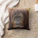 Search for orangutan cushions Great ape