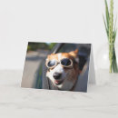 Search for goggle cards Puppy