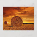Search for cloudy sky postcards Colour