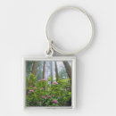 Search for trees in fog key rings Forest