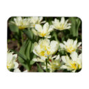 Search for digital designs magnets Flowers