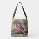 Search for beak bags Wildlife