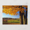 Search for country fence postcards Field