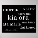 Search for kiwis posters Aotearoa