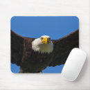 Search for haliaeetus mouse mats Flight
