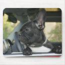 Search for selective focus mouse mats Indoors