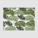 Search for green leaf tissue paper Monstera