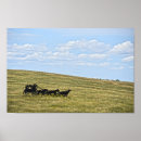 Search for stagecoach posters South dakota