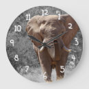 Search for black and white elephant art Wild