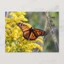 Search for butterfly save the dates Moth