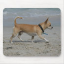 Search for beach walk mouse mats Dog