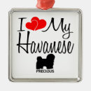 Search for havanese dog christmas tree decorations Dogs