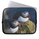 Search for puffin electronics Blue