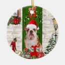 Search for english bulldog christmas decor Animal