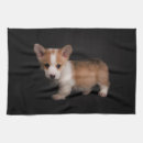 Search for corgi tea towels Queen elizabeth's