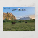 Search for horse sunset postcards Mountains