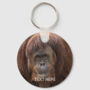 Search for common round key rings Wildlife