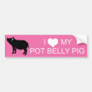 Search for bacon bumper stickers Pork