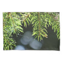 Search for forest green pillowcases Tree