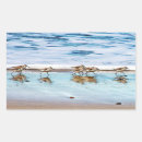 Search for sandpiper stickers Waves