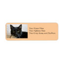 Search for lillies return address labels Green