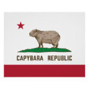 Search for capybara posters Rodent