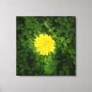 Search for grass art Dandelion