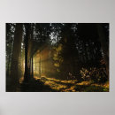 Search for piercing posters Nature