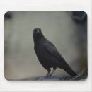 Search for crows mouse mats Raven