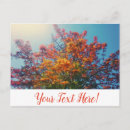 Search for yellow tree postcards Orange