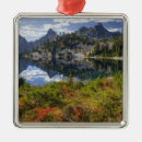 Search for in the wilderness christmas tree decorations Nobody