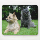 Search for cairn mouse mats Puppy