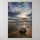 Search for shell beach posters Ocean