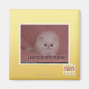 Search for i hate magnets I can has cheezburger