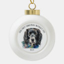 Search for pet supplies Commemorative