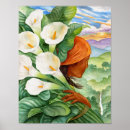Search for cala posters Lilies