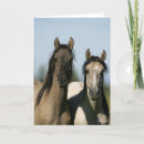Search for mustang cards Horses